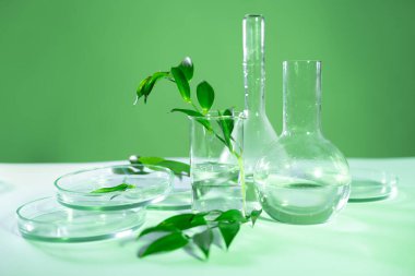 Laboratuvar şişesinde yeşil yaprak bitkileri, kozmetolojide çevre dostu ürünler, konsept.