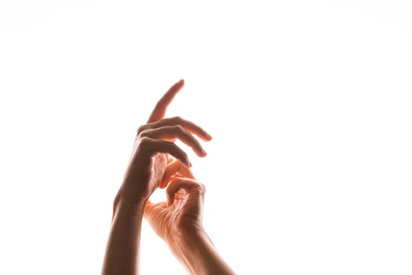 Hand gestures. Elegant female hands reach up, isolated on white, — Stock Photo, Image