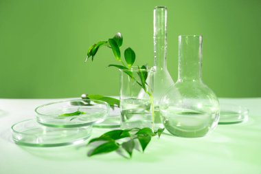 Laboratuvar şişesinde yeşil yaprak bitkileri, kozmetolojide çevre dostu ürünler, konsept.
