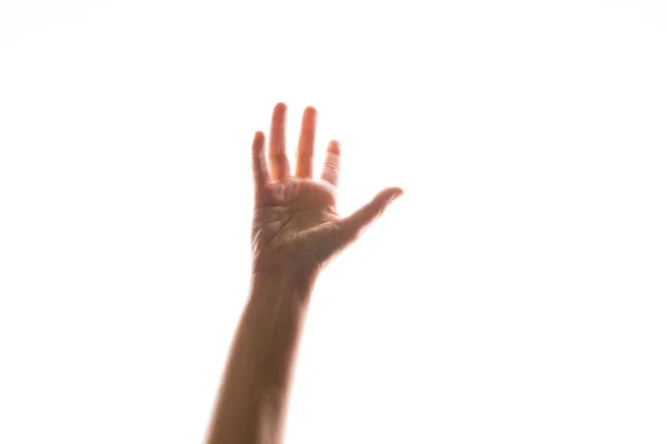 Handgester. womans hand sträcker sig upp för att fånga eller ta något, — Stockfoto