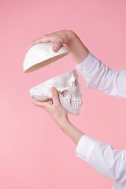 İnsan beyni bilimi, konsept, bir doktorun elinde boş insan kafatasını açmak.,