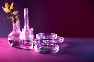 Laboratuvar şişesinde yeşil yaprak bitkileri, kozmetolojide çevre dostu ürünler, konsept.