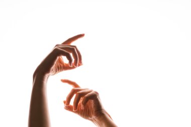 El hareketleriyle. Zarif kadın elleri yukarı bakıyor, beyaz üzerinde izole.,