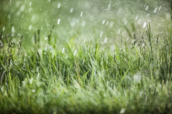 下雨天，雨落 — 图库照片