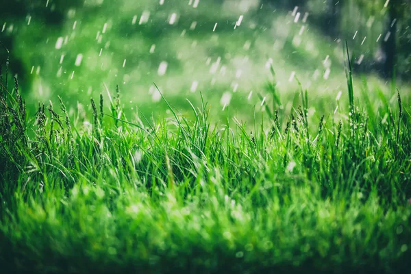 Regnerische Tage, Regen fällt — Stockfoto