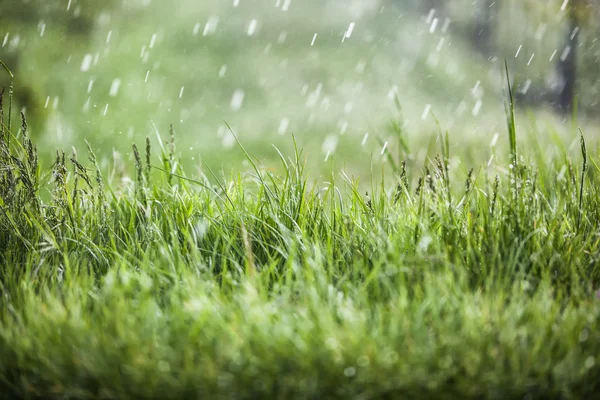 Días lluviosos, lluvia cayendo —  Fotos de Stock