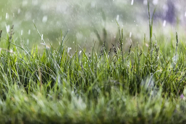 Jours pluvieux, pluie tombant — Photo