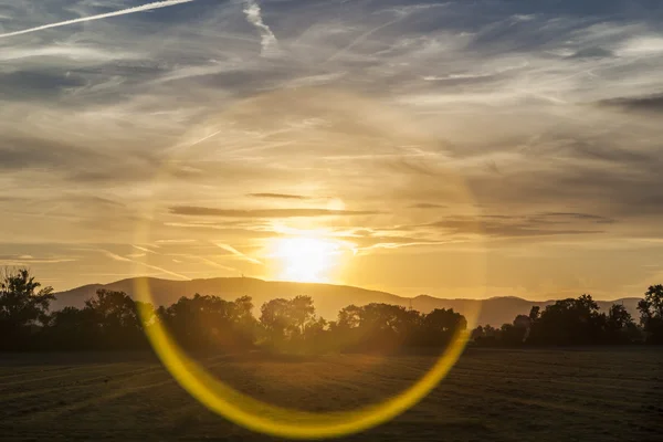 Красиве Літнє Поле Травою Заходом Сонця — стокове фото