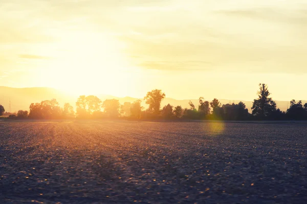 Tramonto Campagna Con Campo Sfondo Della Natura — Foto Stock