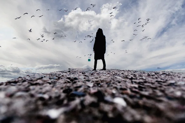 Deniz günbatımı, dramatik görünüm, kadın kenarında, kadın siluet alışılmadık, yabancı kavramı üzerinde izlerken kayaların üzerinde duran kadın — Stok fotoğraf