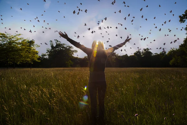 Jovem estendendo as mãos com alegria e inspiração de frente para o sol, saudação ao sol, conceito de liberdade, pássaro voando acima do sinal de liberdade e liberdade — Fotografia de Stock