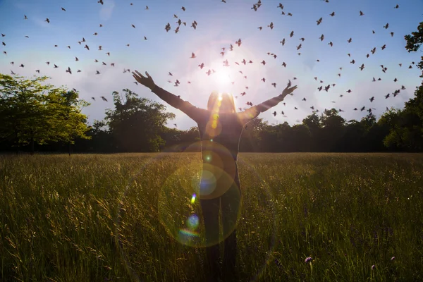 Jovem estendendo as mãos com alegria e inspiração de frente para o sol, saudação ao sol, conceito de liberdade, pássaro voando acima do sinal de liberdade e liberdade — Fotografia de Stock