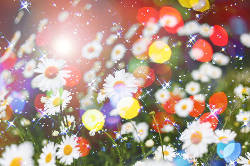 Flower background with colorful bokeh ,abstract floral spring background