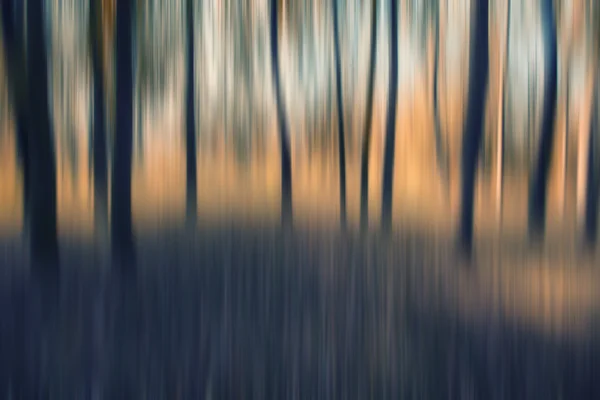 Floresta abstrata em desfoque de movimento — Fotografia de Stock