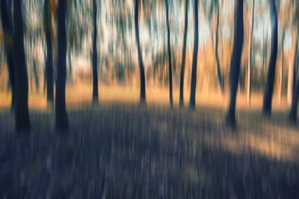 Abstrakter Wald in Bewegung verschwimmt — Stockfoto