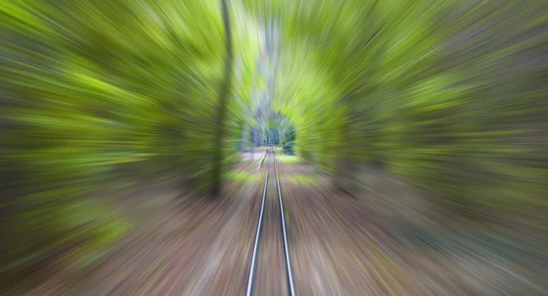 Ferrovia infinita all'orizzonte nella foresta — Foto Stock