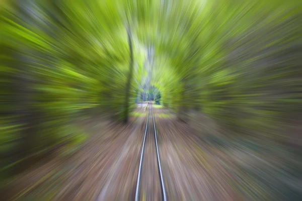 숲에서 수평선에 끝 없는 철도 — 스톡 사진