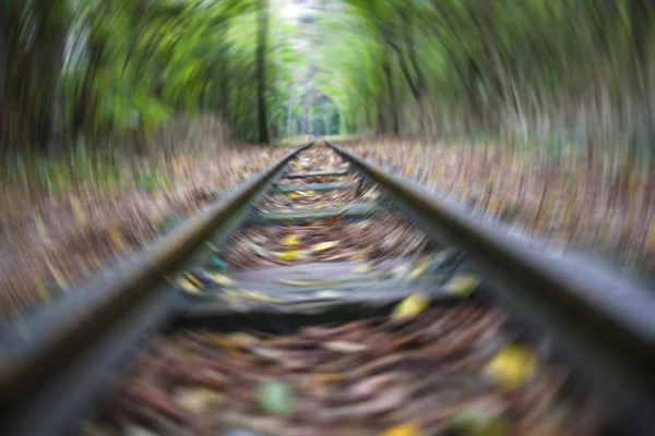 Ατελείωτες σιδηροδρόμου στον ορίζοντα στο δάσος — Φωτογραφία Αρχείου