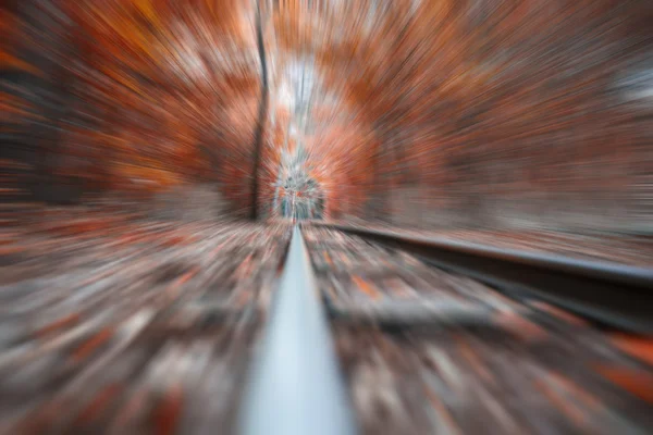 Ferrovia infinita all'orizzonte nella foresta — Foto Stock