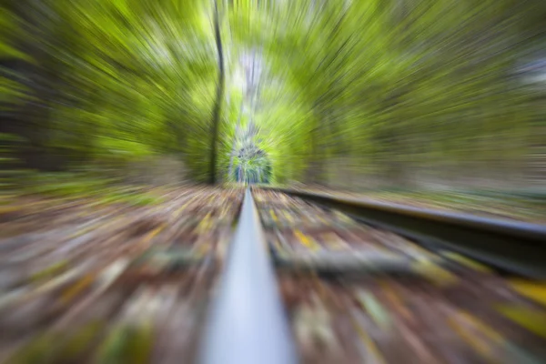 Eindeloze spoorweg naar de horizon in het forest — Stockfoto