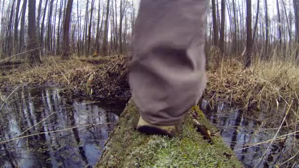 Hiker passes through a stream on a log. — Stock Video