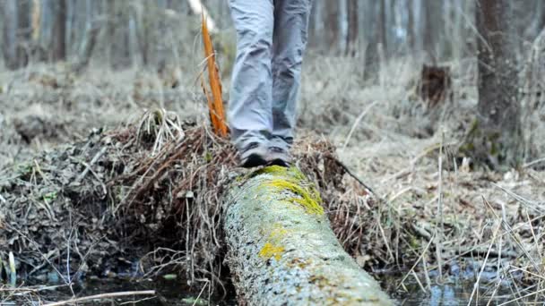 Slow motion van wandelaar passeert een stream op een log. — Stockvideo