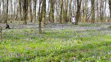 Orman izinde yürüyen backpacker.