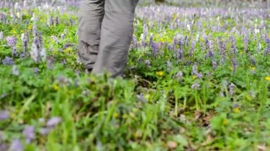 Orman izinde yürüyen adam.