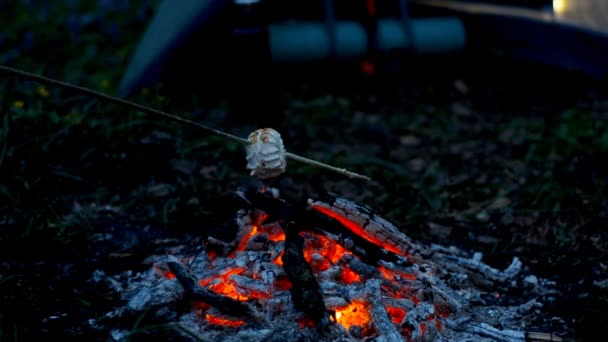 Обсмажування зефірів у вогні . — стокове відео