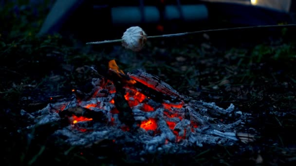 Marshmallows assar em chamas . — Vídeo de Stock