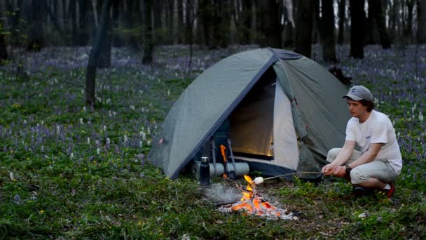 Tourist roast marshmallows over the campfire. — Stock Video