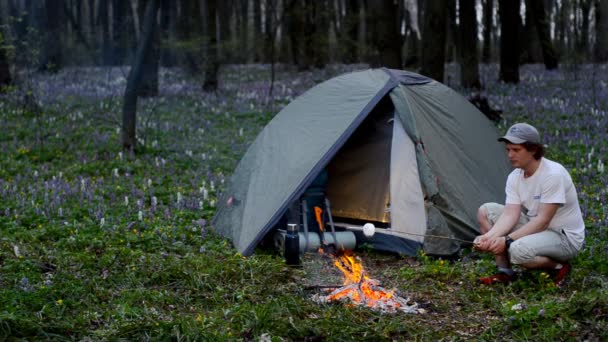 Tourist roast marshmallows over the campfire. — Stock Video