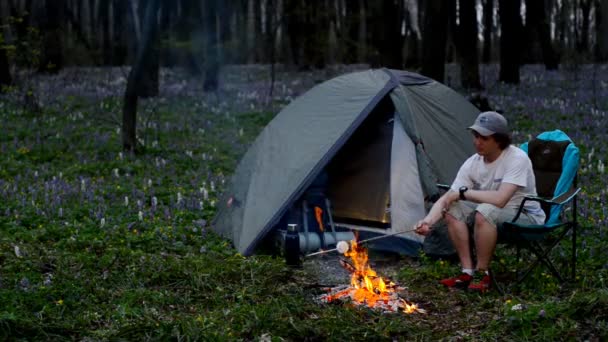 Turist kızartma marshmallow kamp ateşi üzerinde. — Stok video