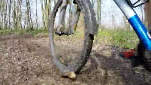 Bicicleta ciclista mientras monta bicicleta en carretera forestal . — Vídeos de Stock