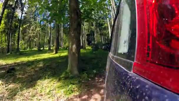 Rijden op een bergweg rural. — Stockvideo