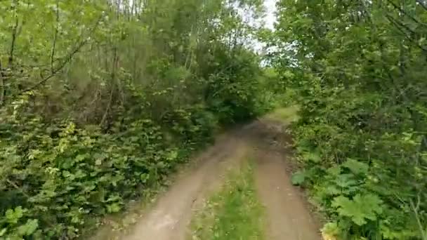 Jazda na wiejskiej drodze górskiej. — Wideo stockowe