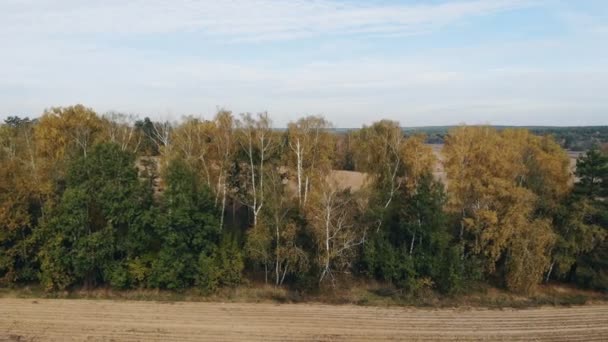 Lot Nad Uprawianym Polem Rolniczym Nagranie Nakręcono Drona Środku Jesieni — Wideo stockowe