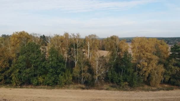 Flyg Över Ett Odlat Jordbruksfält Videon Tagen Från Drönare Mitt — Stockvideo