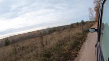 Kırsal kesimde sonbahar ormanlarından geçen bir arabanın videosu. Profesyonel bir kamera özel bir bakış açısıyla arabanın dışına yerleştirilir..
