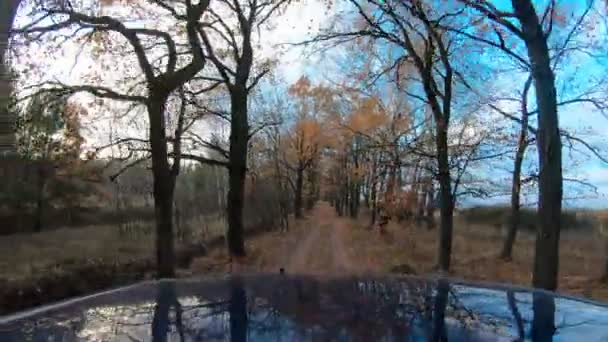 Video Auto Che Attraversa Una Foresta Autunnale Campagna Una Telecamera — Video Stock
