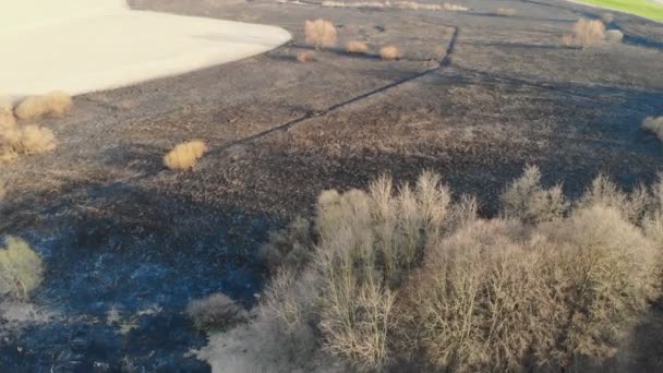 Resultado Incendio Forestal Valle Del Río Quemado Cenizas Suelo Árboles — Vídeos de Stock