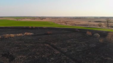 Bir orman yangınının sonucu. Yanmış nehir vadisi, yerde küller ve yanmış ağaçlar. İnsansız hava aracı kullanarak video çekiliyor.