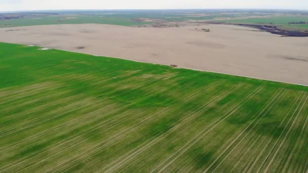 Zbor Peste Câmp Agricol Cultivat Videoclipul Fost Filmat Dronă Mijlocul — Videoclip de stoc