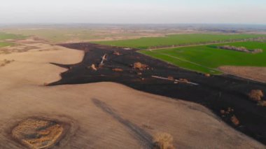 Bir orman yangınının sonucu. Yanmış nehir vadisi, yerde küller ve yanmış ağaçlar. İnsansız hava aracı kullanarak video çekiliyor.