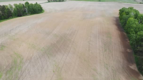 Lot Nad Uprawianym Polem Rolniczym Nagranie Nakręcono Drona Środku Wiosny — Wideo stockowe