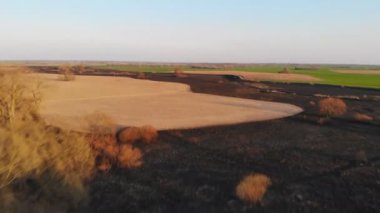 Bir orman yangınının sonucu. Yanmış nehir vadisi, yerde küller ve yanmış ağaçlar. İnsansız hava aracı kullanarak video çekiliyor.