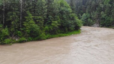Şiddetli yağmurlardan sonra dağ nehri. Nehirdeki su toprak ve taşlardan kirlidir. Bu durum, Avrupa 'da sel felaketinin habercisidir..