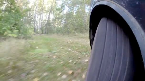 森の中で車を設定します。. — ストック動画