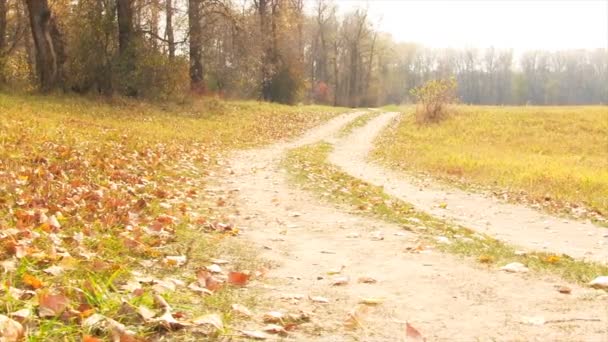 Autumn rural road. — Stock Video