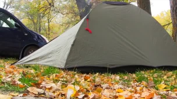 Tienda de campaña en bosque de otoño . — Vídeos de Stock